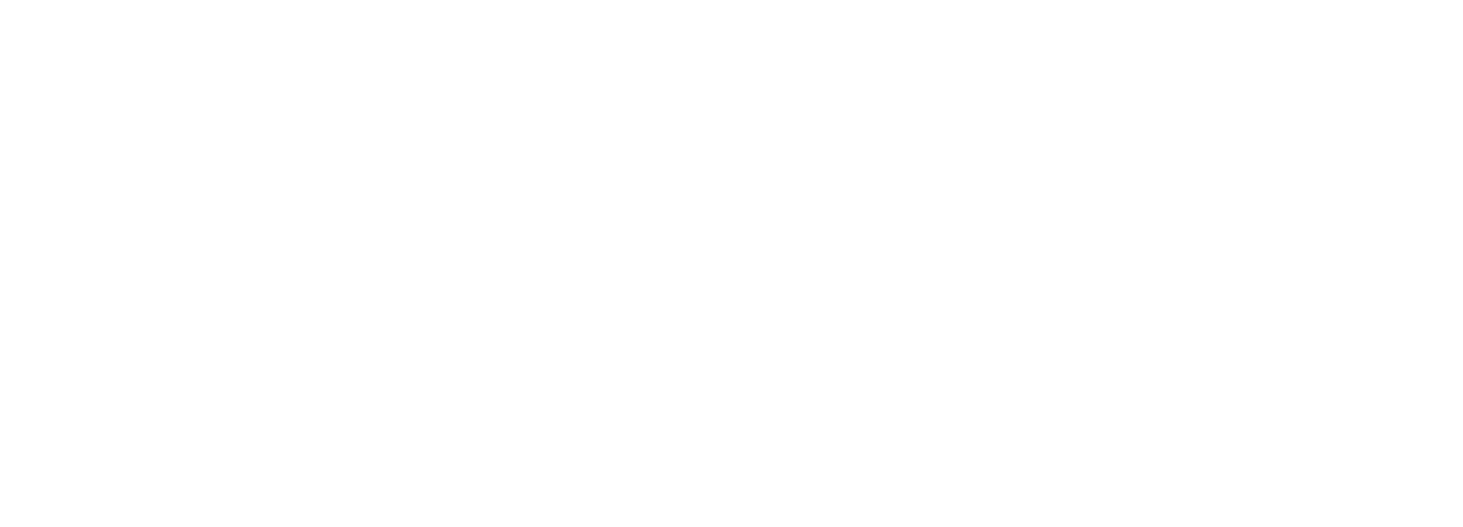 taxi weisbaden-white-logo